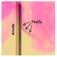 anoda