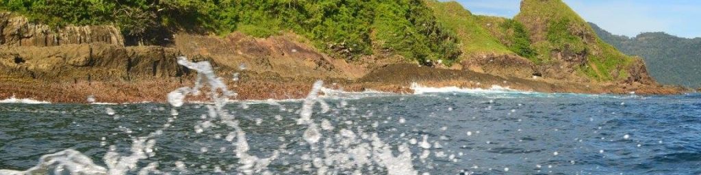 Petunjuk ahli kimia untuk disinfektan