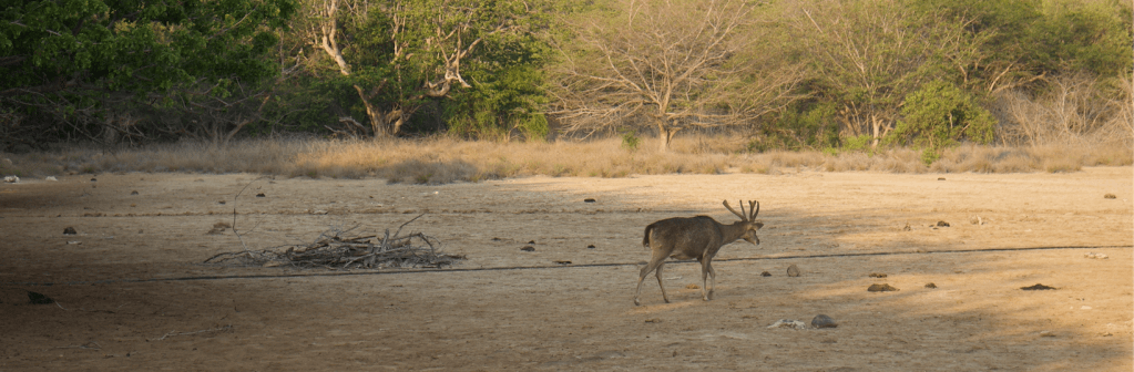 Mencari dan mengembangkan ide&nbsp;penelitian