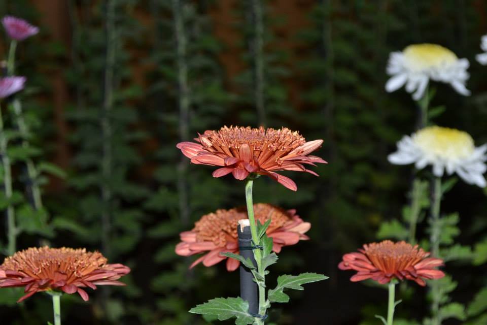 Yang datang dan yang pergi di pertengahan&nbsp;2022